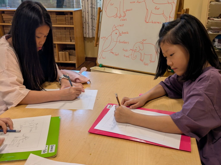 kids teens english group classes gallery 05