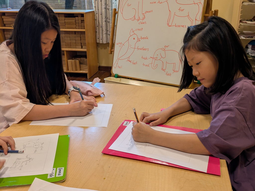 kids teens english group classes gallery 05