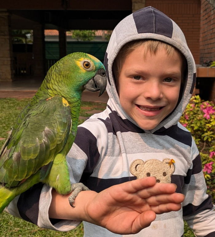 kids private in person english classes content