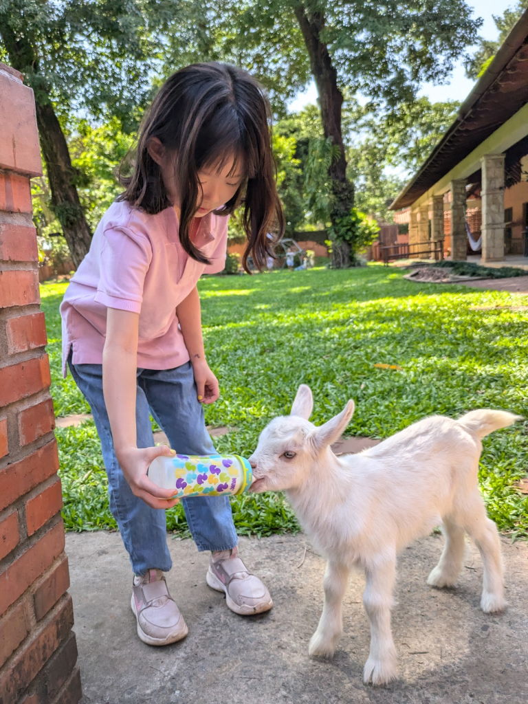 priavate english classes for kids gallery 02