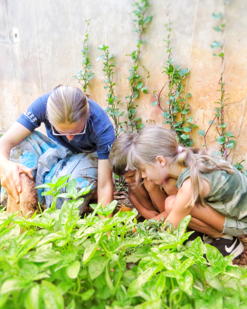 kids growing food in the garden with teacher